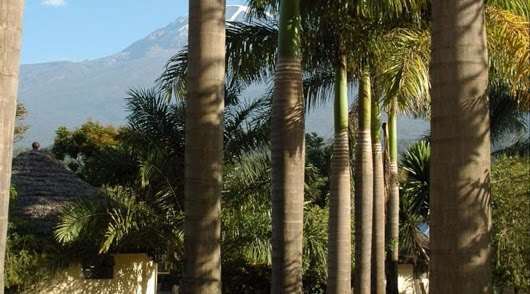 Kilemakyaro Mountain Lodge Moshi Exterior photo